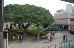 This is the courtyard